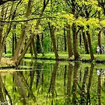 In De Peel Bed & Breakfast 3*