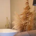 In De Peel Griendtsveen