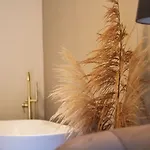 In De Peel Griendtsveen