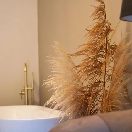 In De Peel Griendtsveen