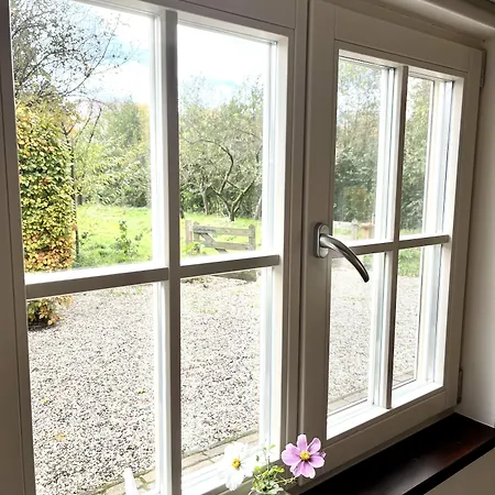 Bed & Breakfast In De Peel