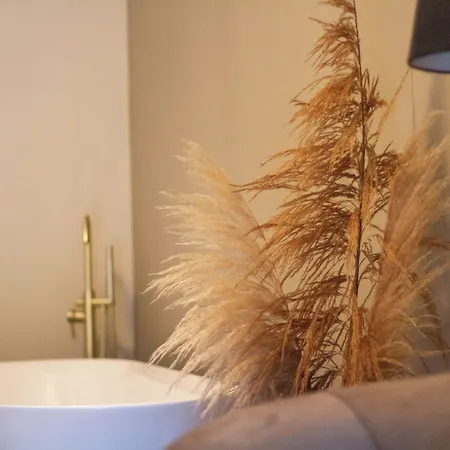 In De Peel Griendtsveen