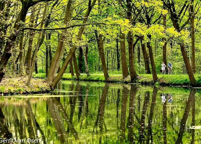 In De Peel לינה וארוחת בוקר 3*