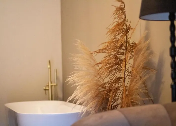 In De Peel Griendtsveen